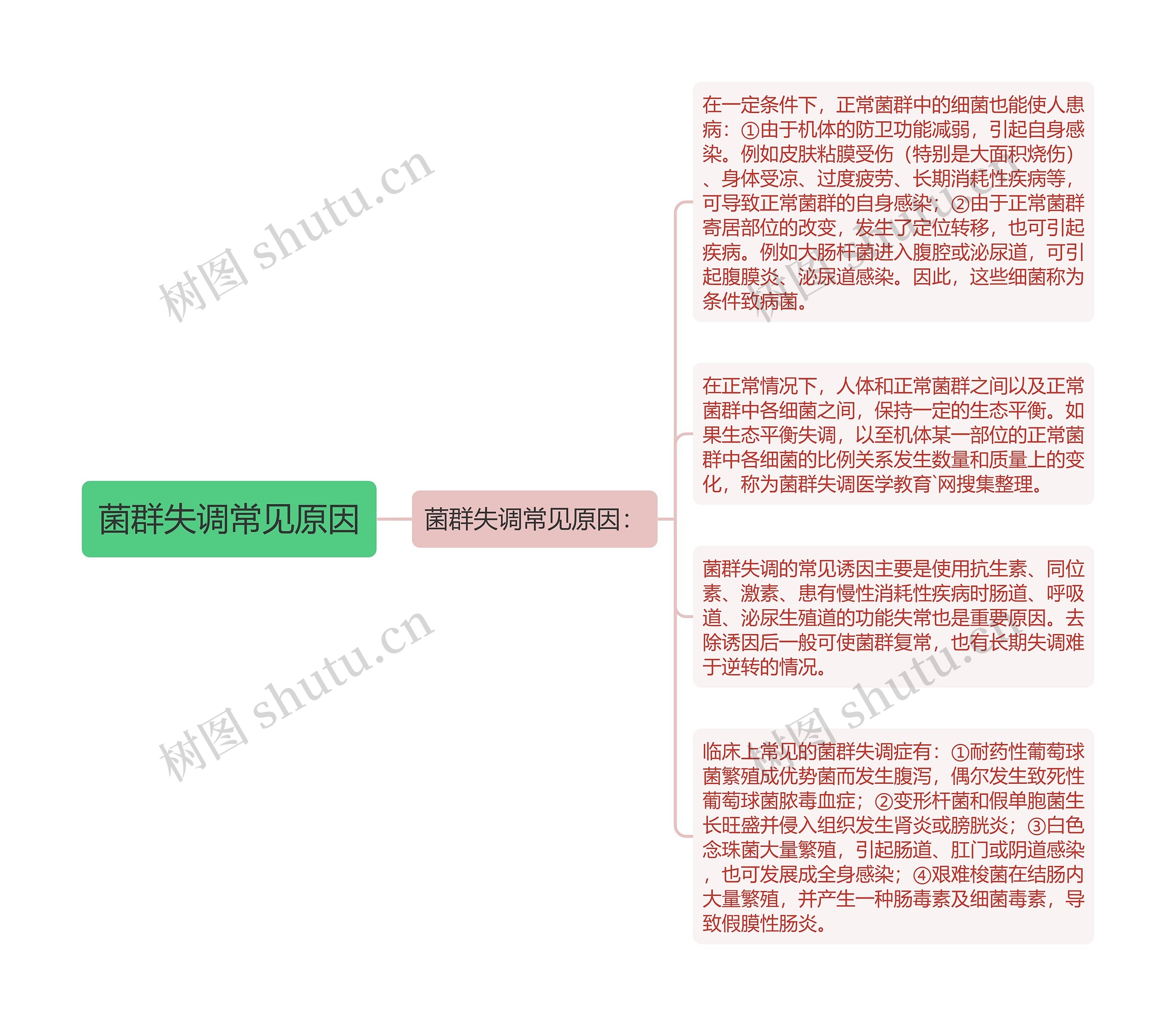 菌群失调常见原因思维导图