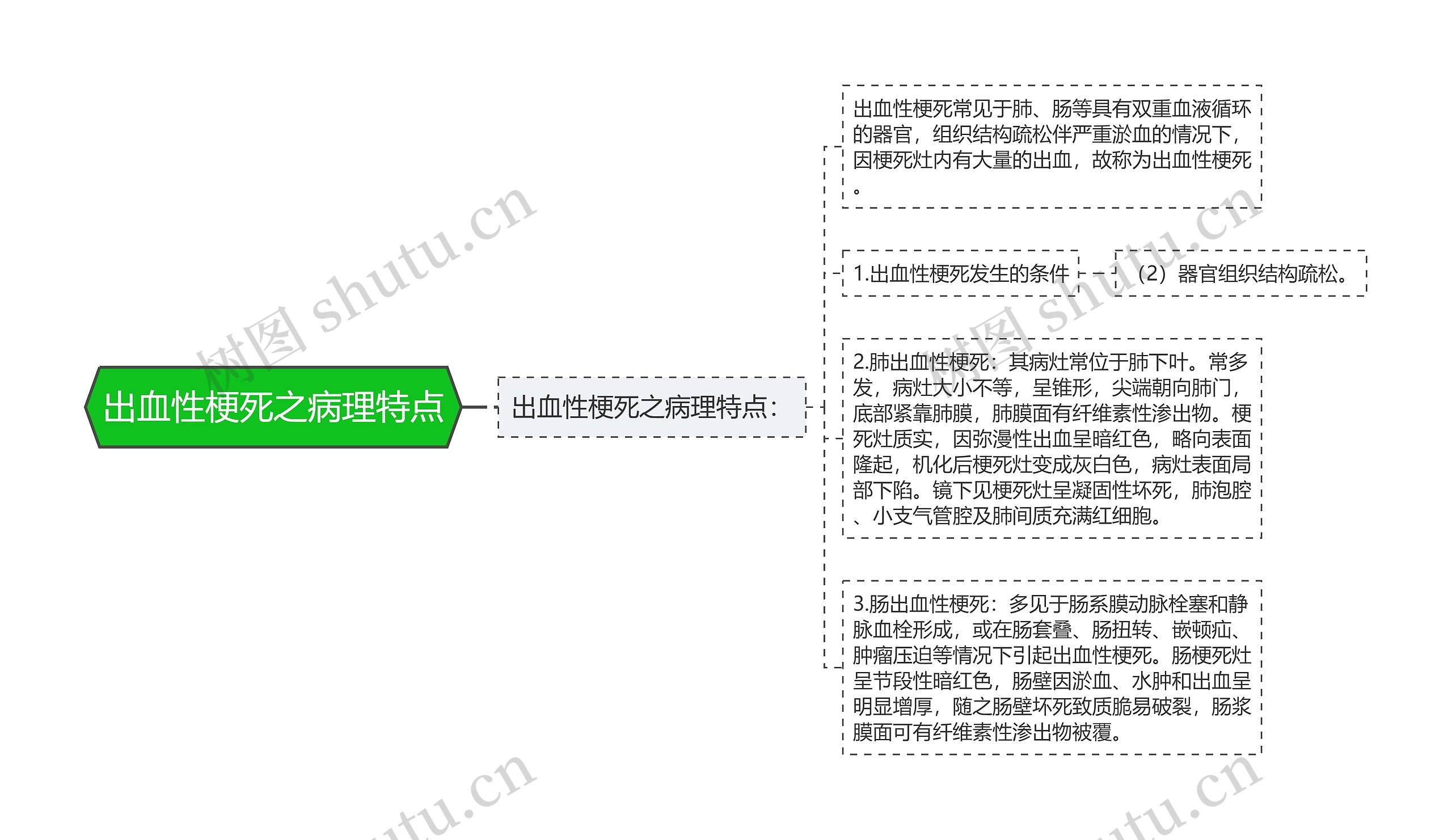 出血性梗死之病理特点思维导图