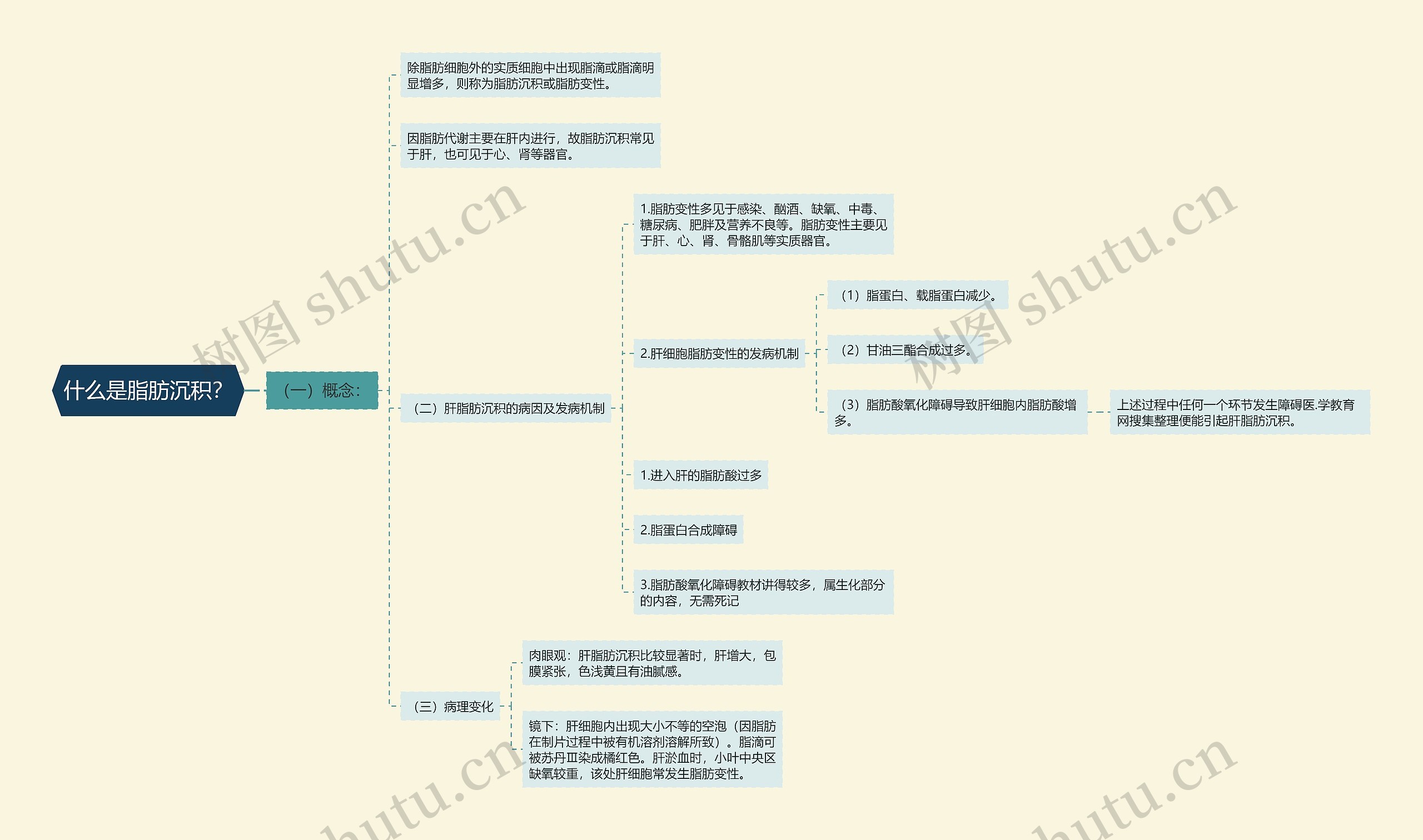 什么是脂肪沉积？思维导图