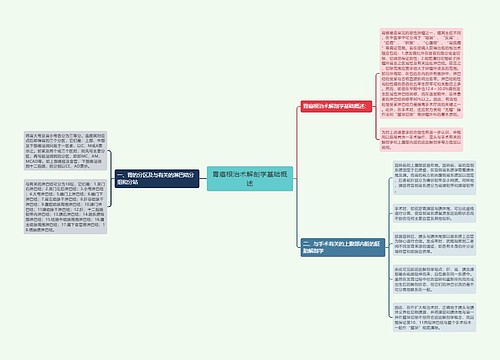 胃癌根治术解剖学基础概述