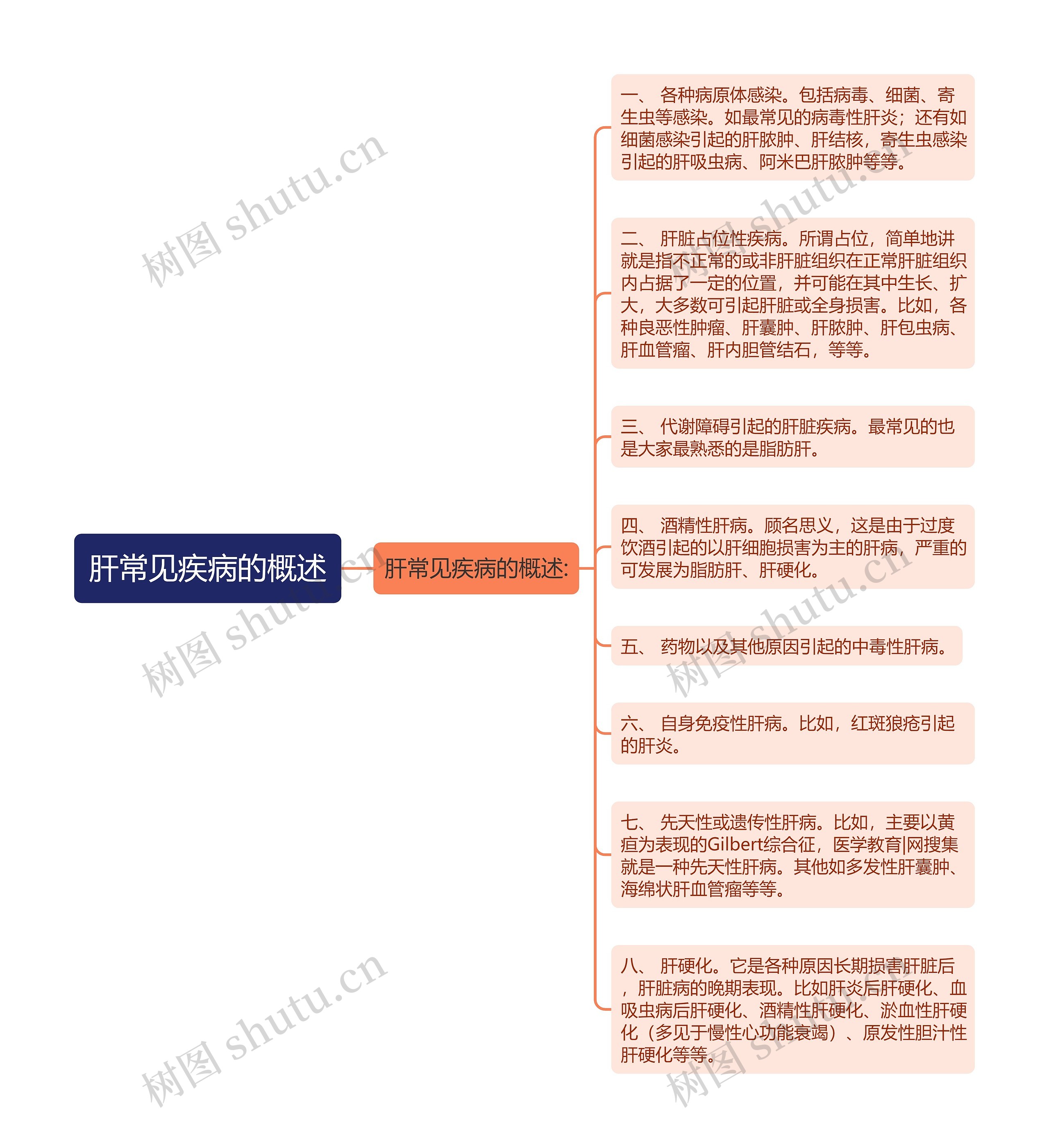 肝常见疾病的概述思维导图