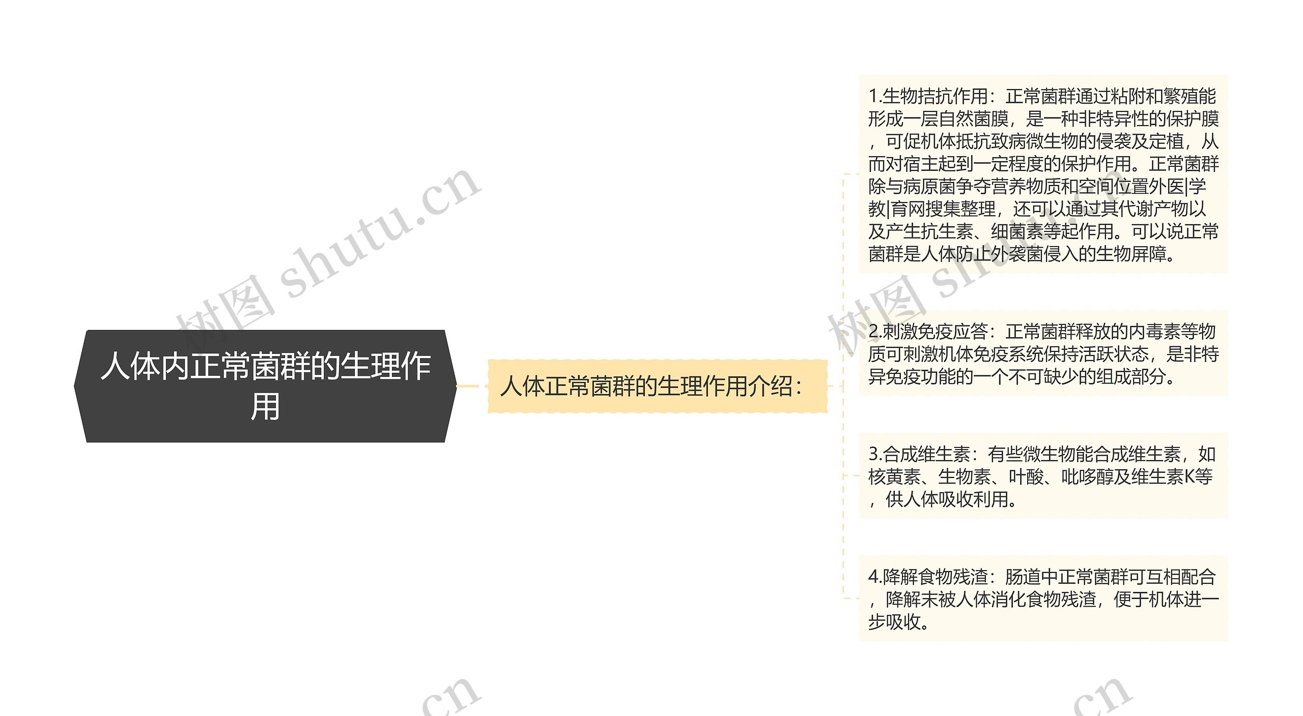 人体内正常菌群的生理作用