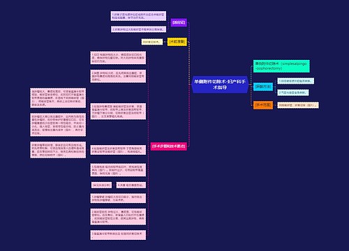 单侧附件切除术-妇产科手术指导