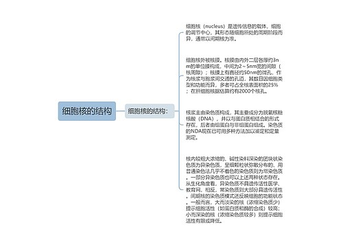 细胞核的结构