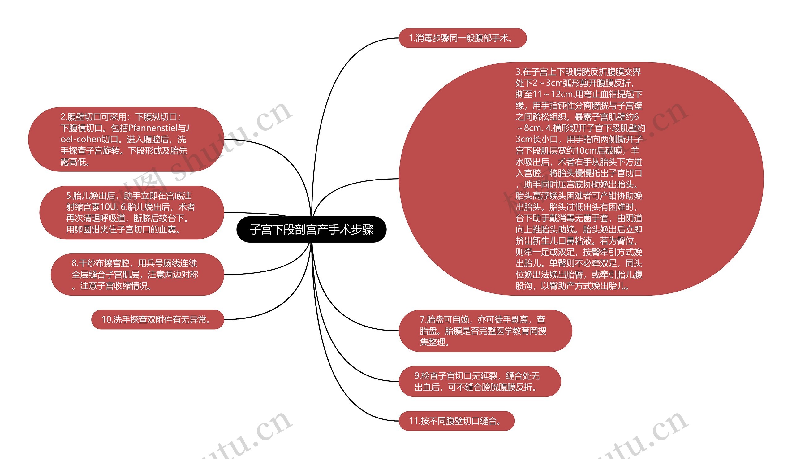 子宫下段剖宫产手术步骤