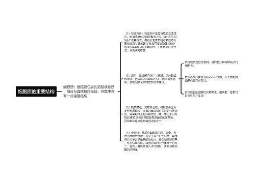 细胞质的重要结构