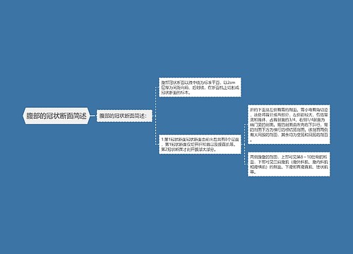 腹部的冠状断面简述