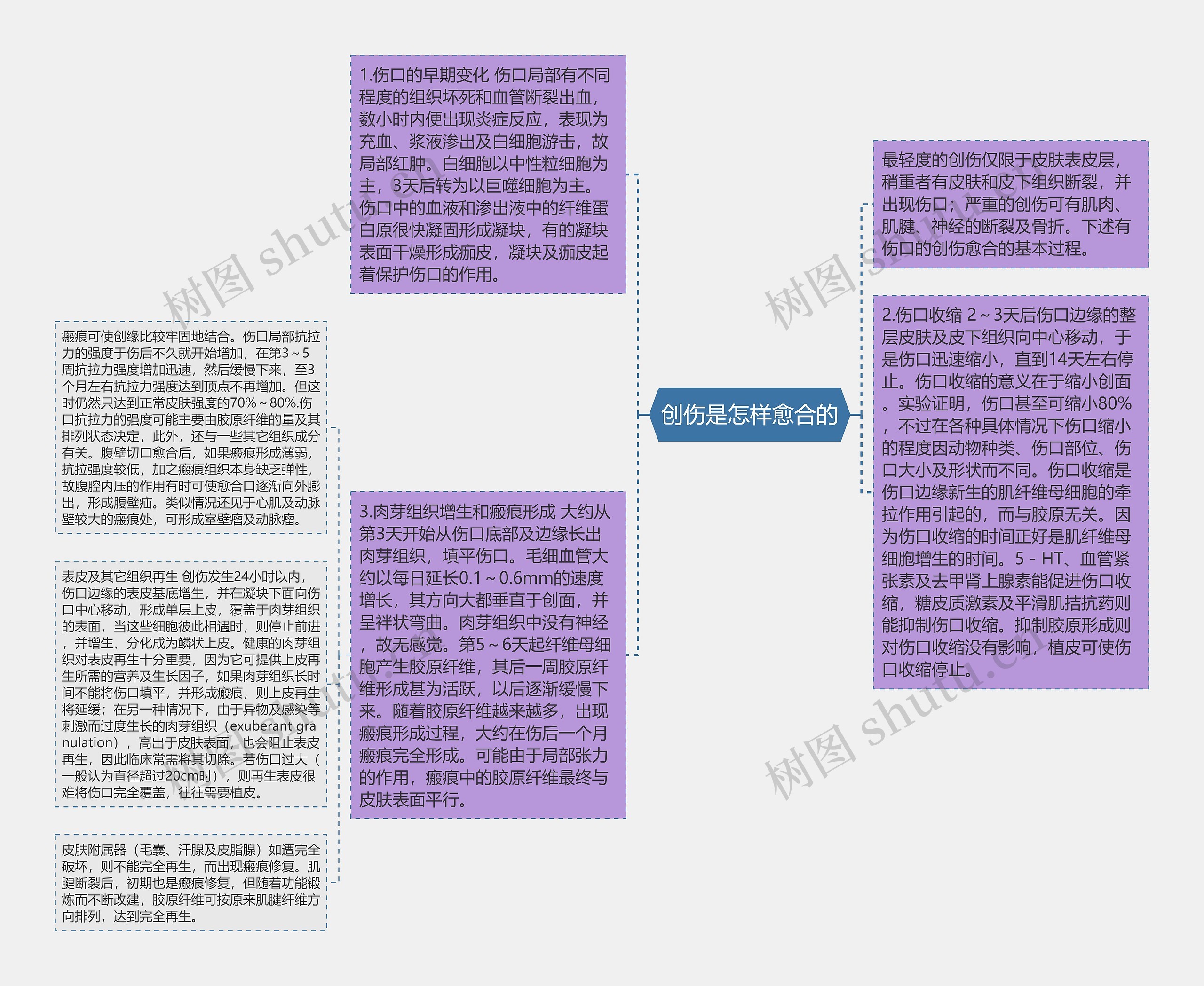 创伤是怎样愈合的思维导图