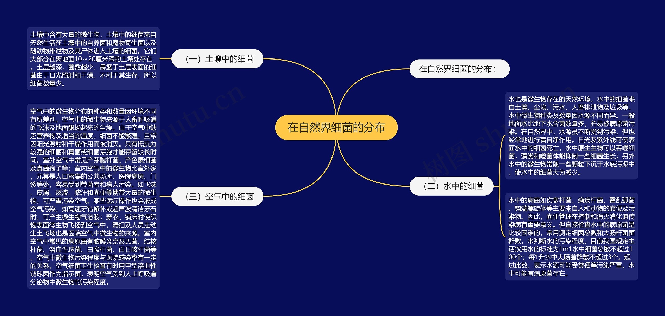 在自然界细菌的分布思维导图