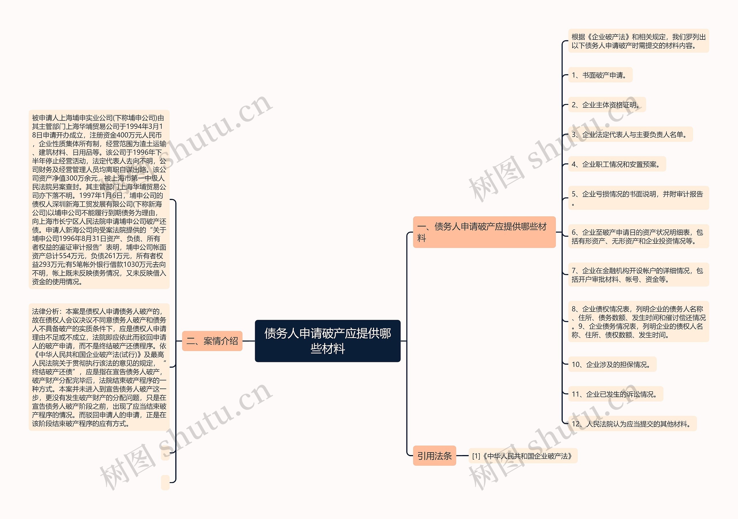 债务人申请破产应提供哪些材料思维导图