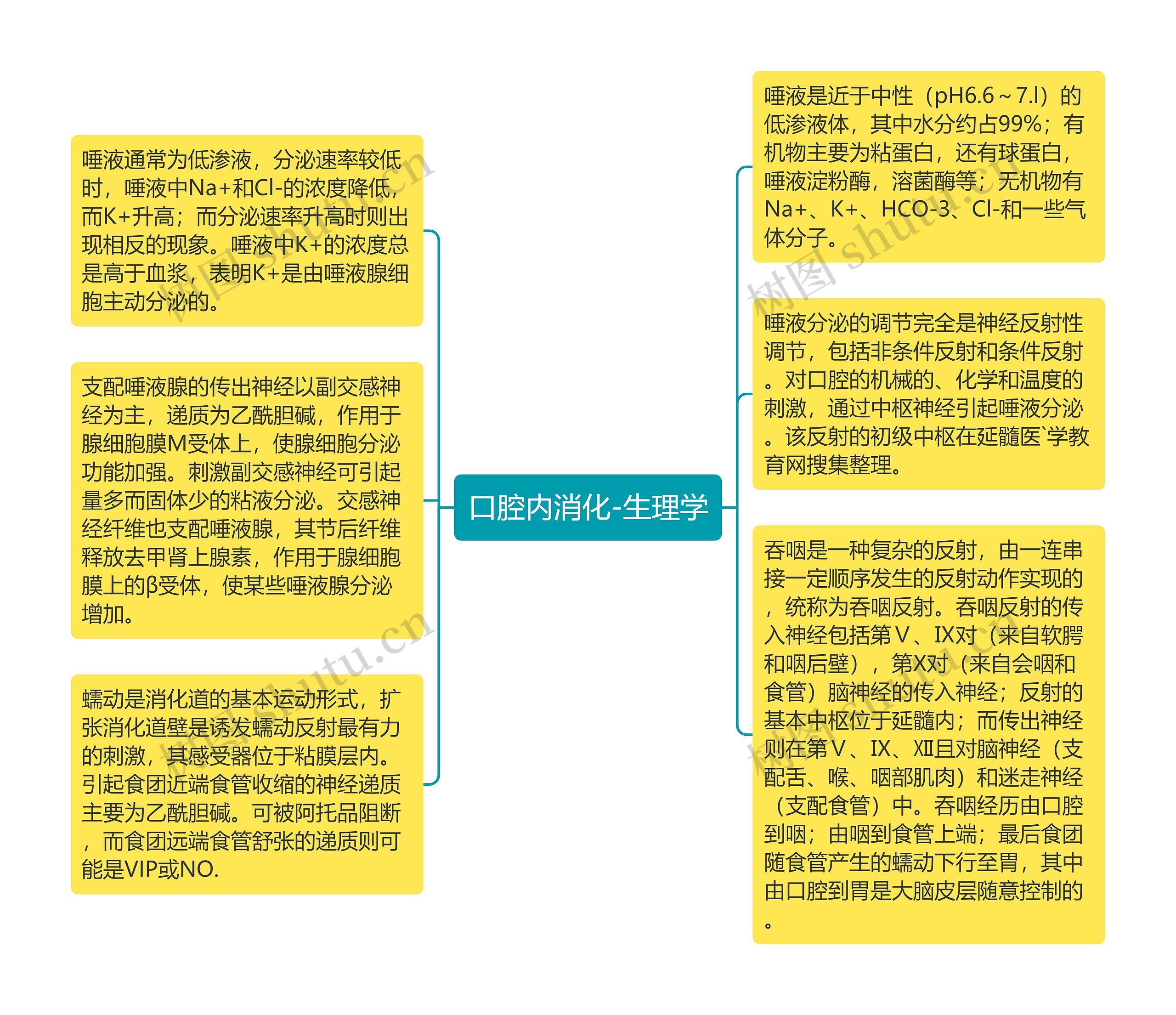 口腔内消化-生理学思维导图高清图 口腔内消化-生理学思维导图