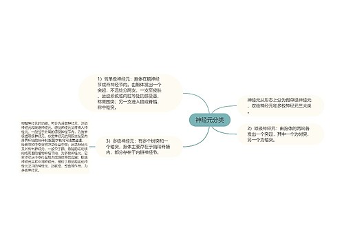 神经元分类