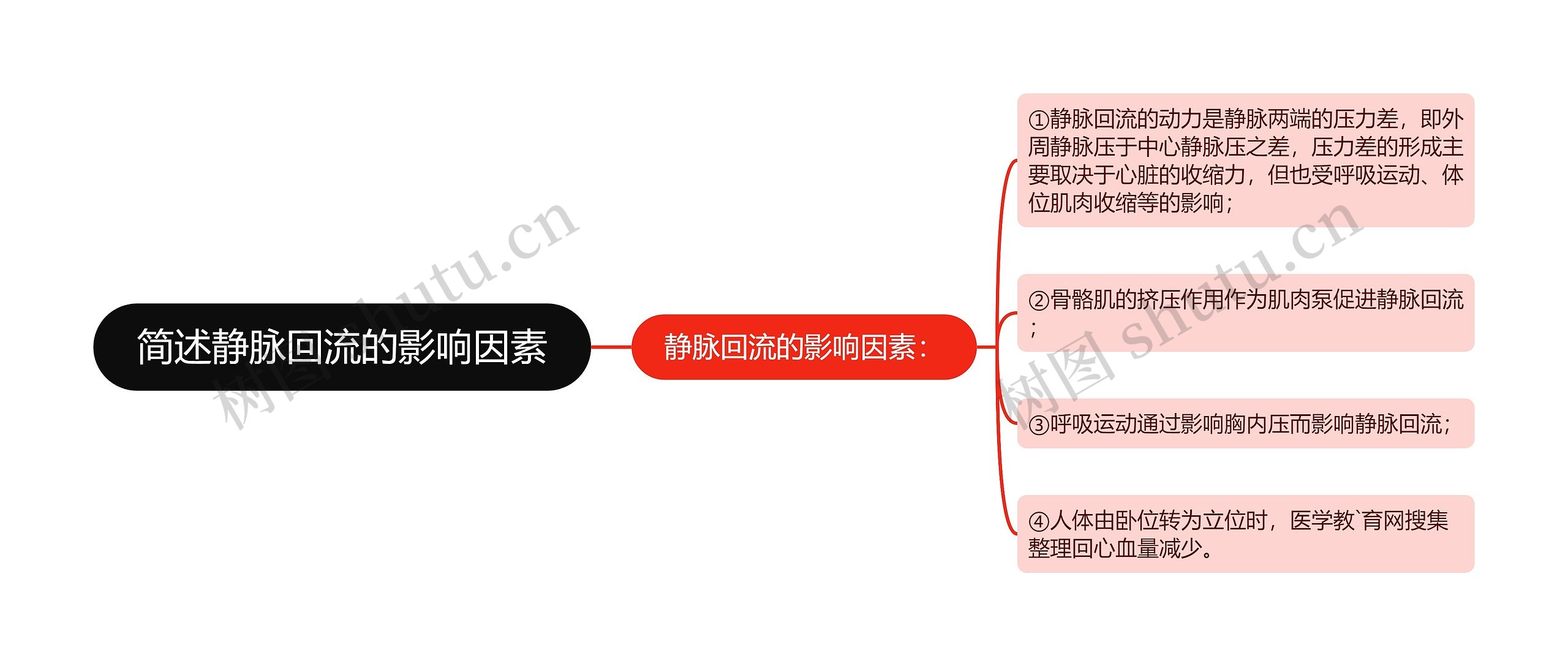 简述静脉回流的影响因素思维导图