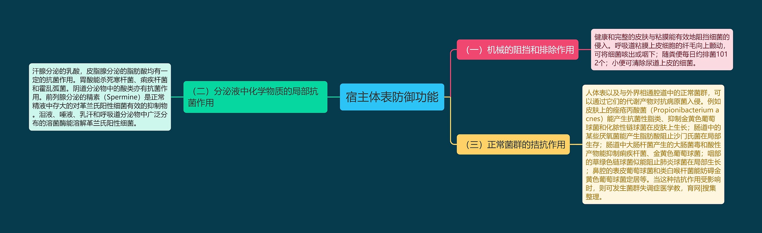 宿主体表防御功能思维导图