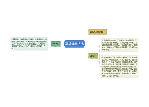 真核细胞组成