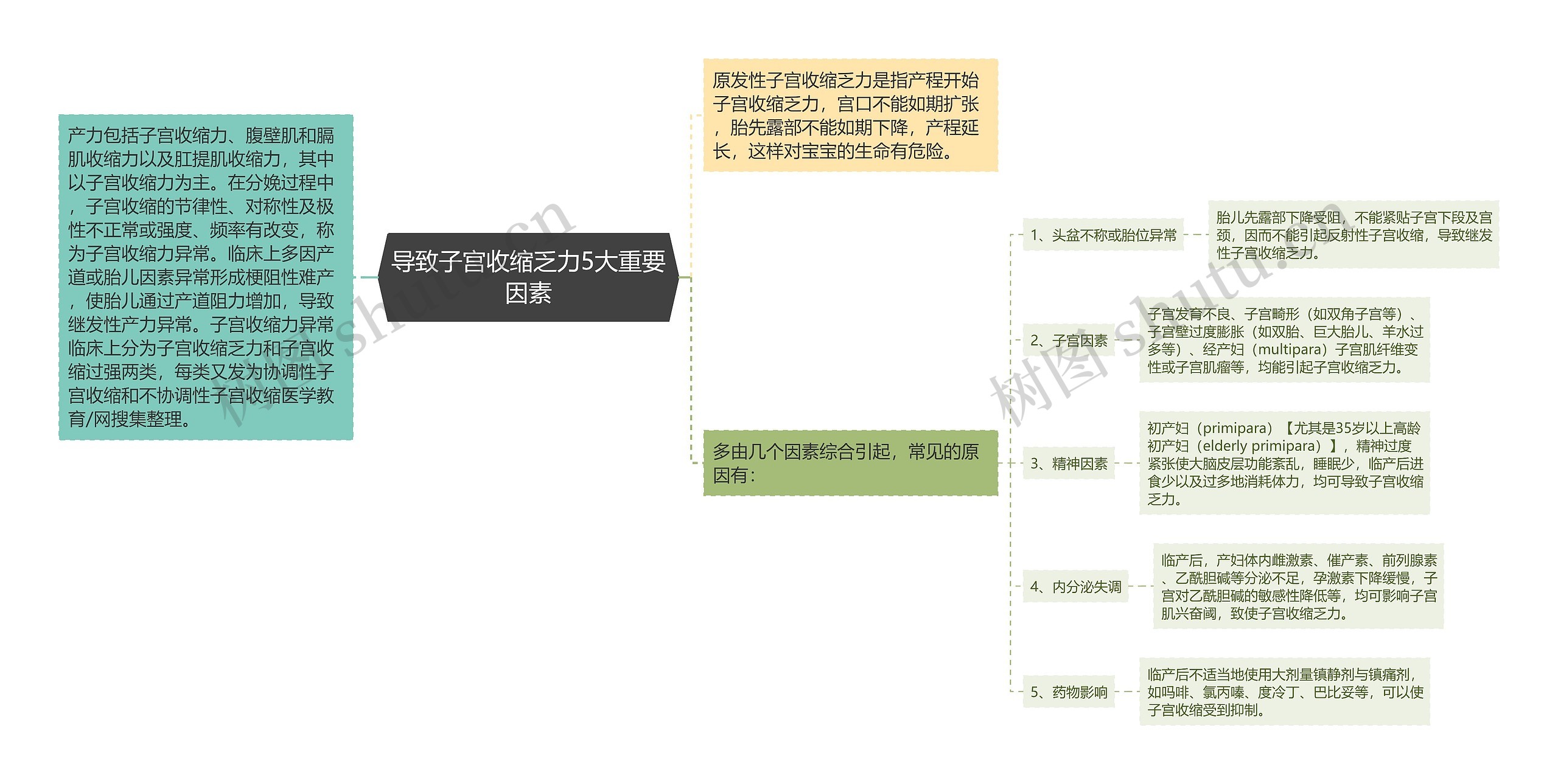 导致子宫收缩乏力5大重要因素思维导图