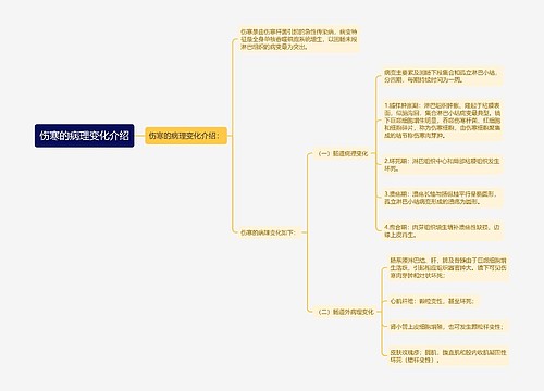 伤寒的病理变化介绍