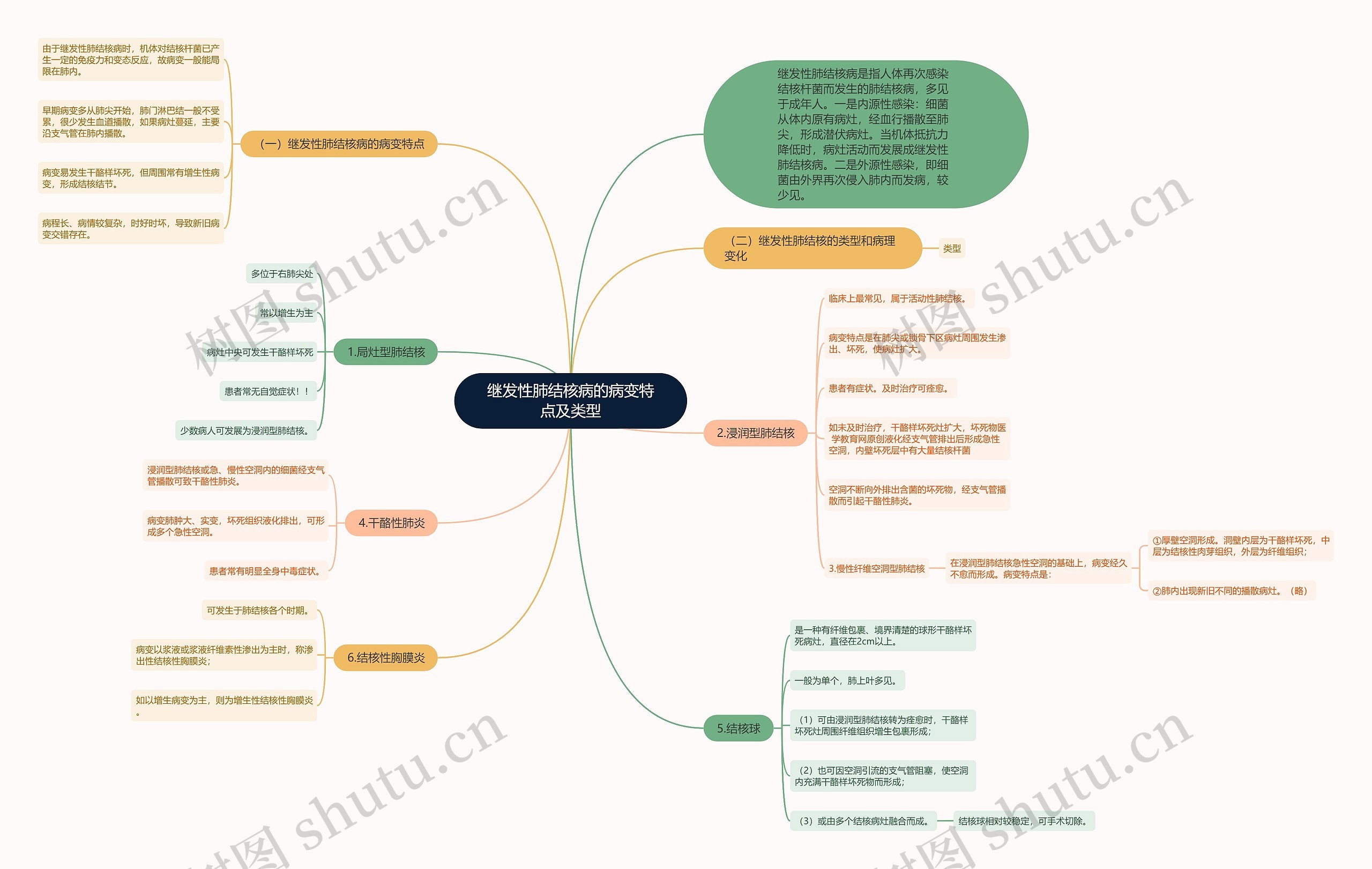 继发性肺结核病的病变特点及类型 继发性肺结核病的病变特点及类型