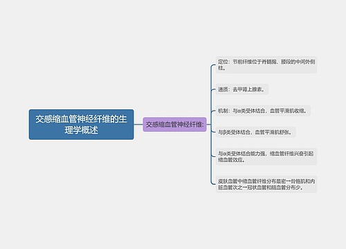 交感缩血管神经纤维的生理学概述