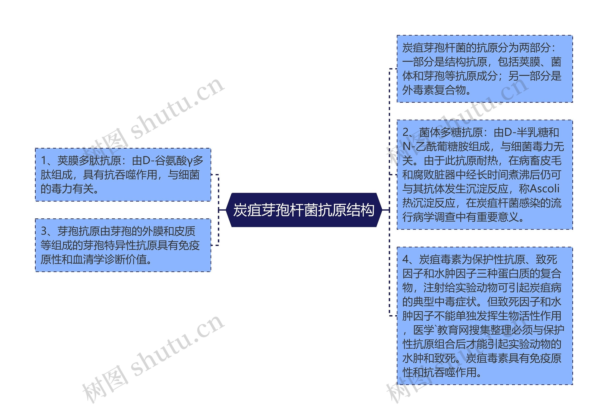 炭疽芽孢杆菌抗原结构思维导图