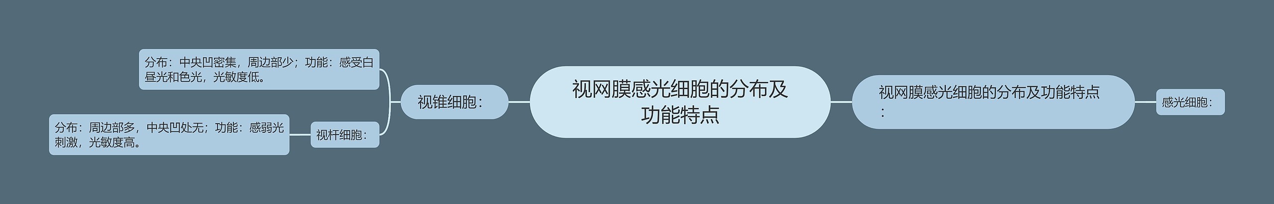 视网膜感光细胞的分布及功能特点 视网膜感光细胞的分布及功能特点