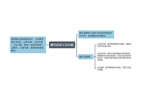 鞭毛的定义及功能