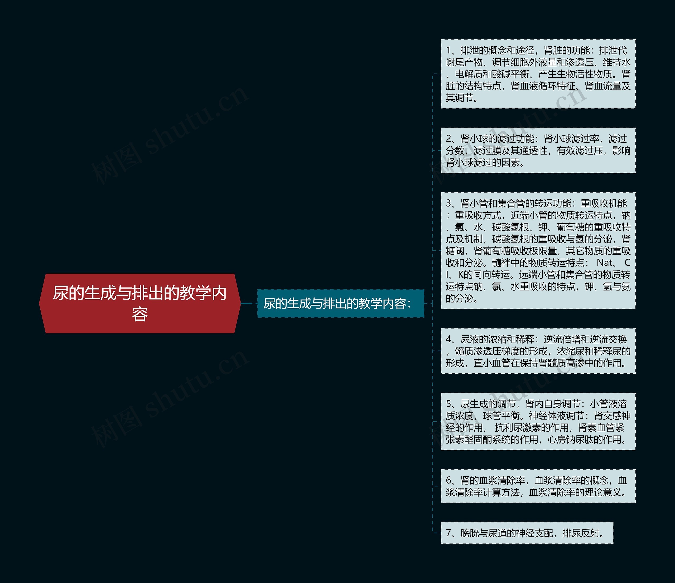 尿的生成与排出的教学内容思维导图