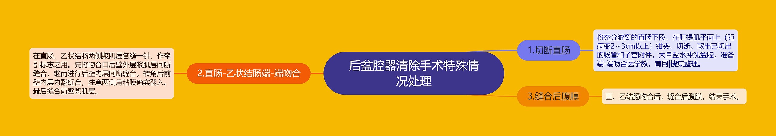 后盆腔器清除手术特殊情况处理