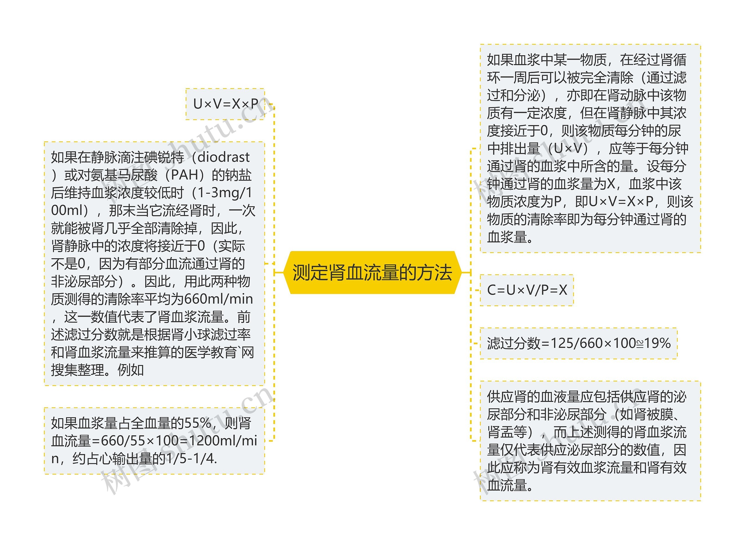 测定肾血流量的方法思维导图