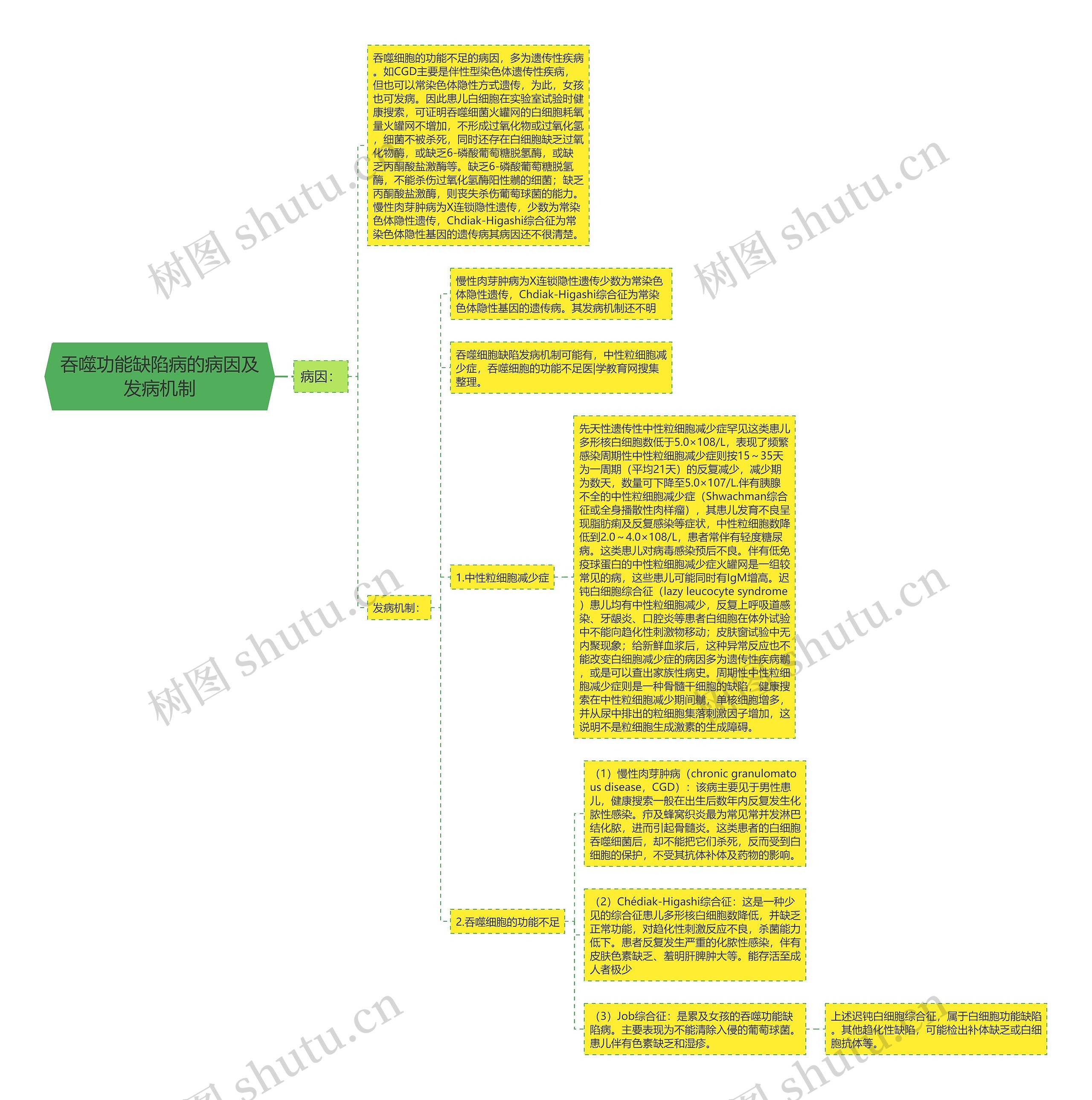 吞噬功能缺陷病的病因及发病机制思维导图