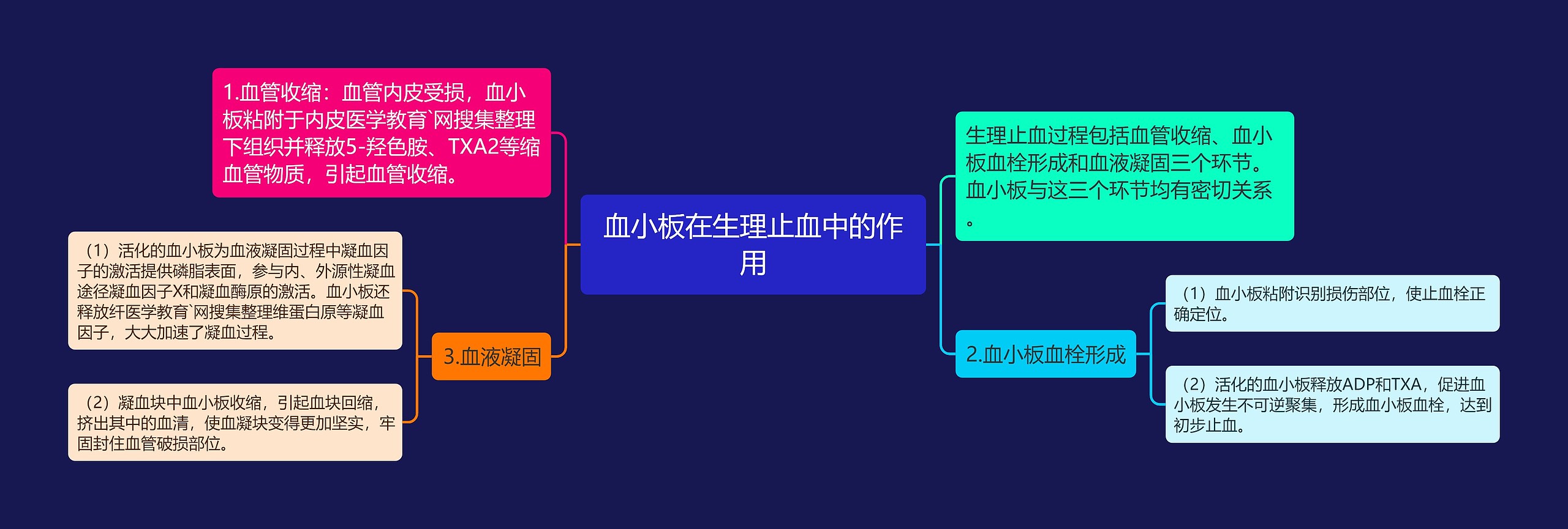 血小板在生理止血中的作用思维导图