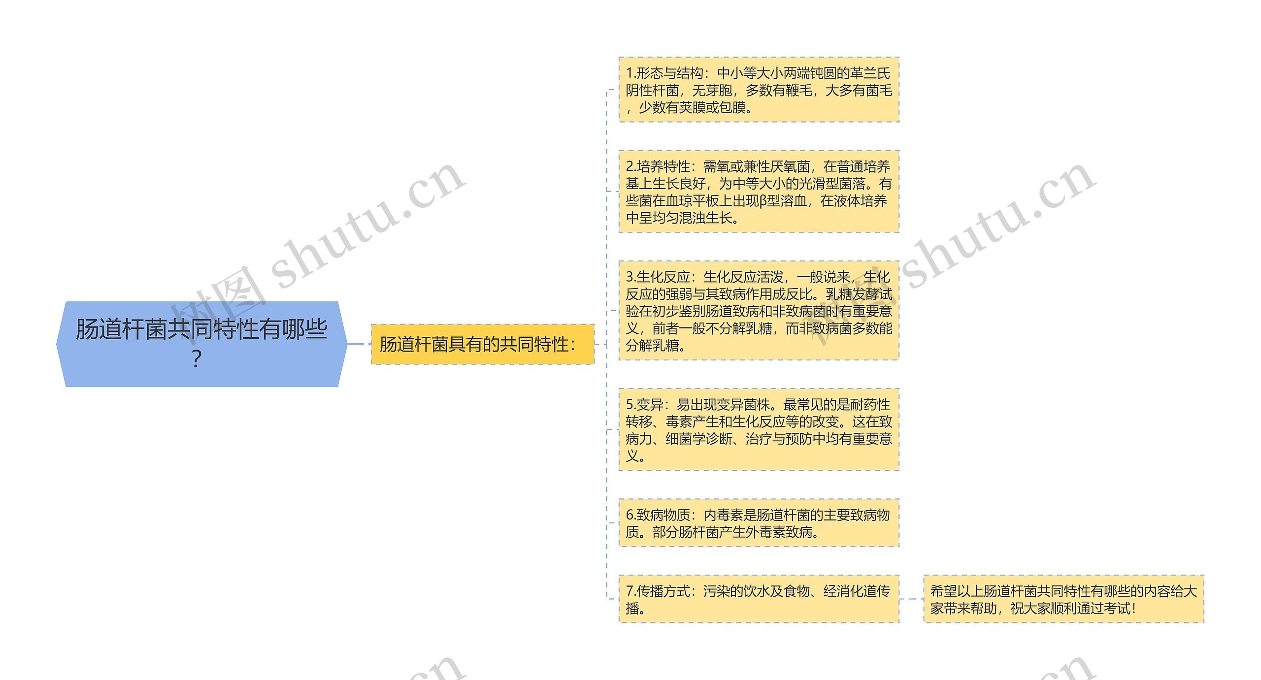 肠道杆菌共同特性有哪些？