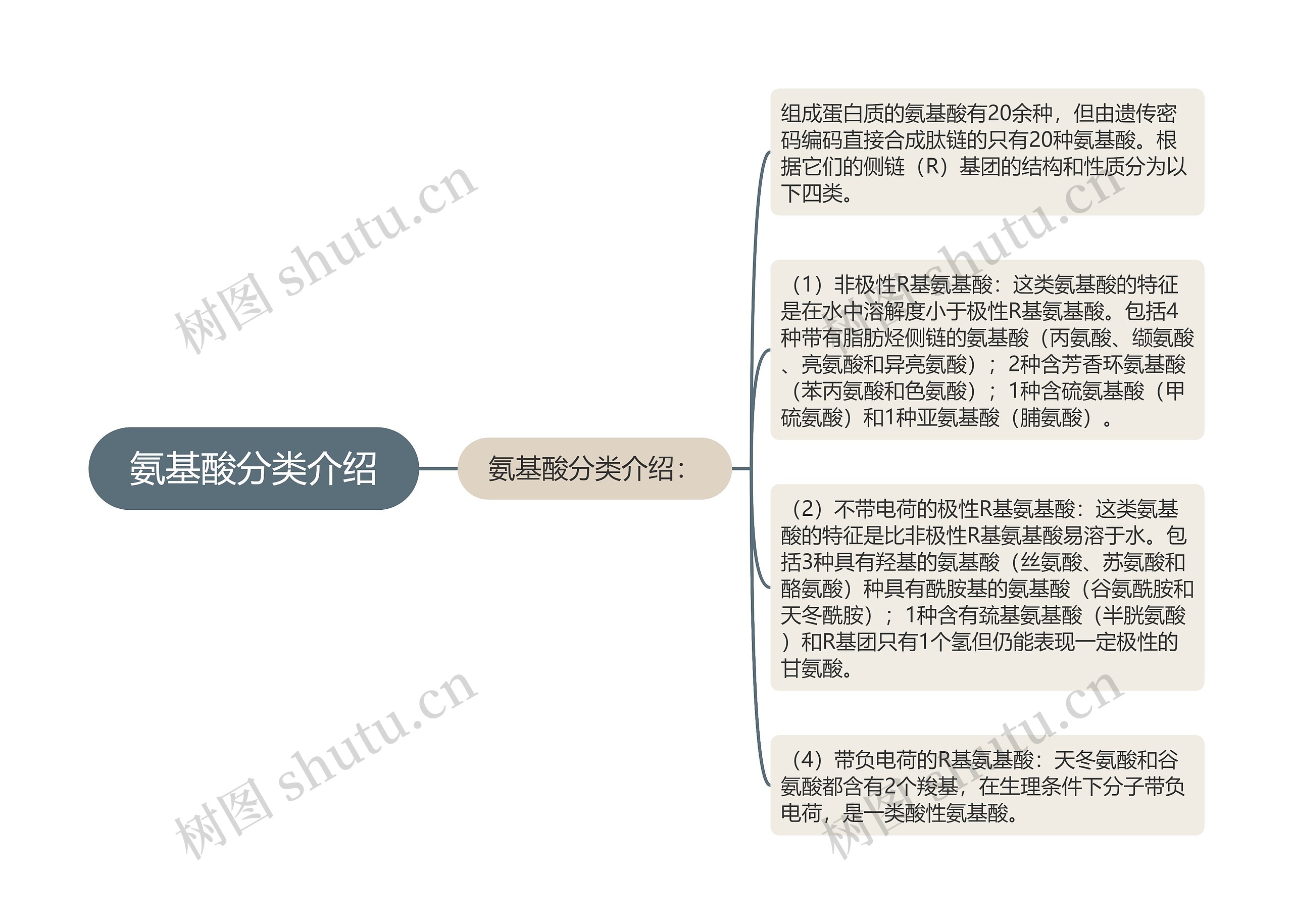 氨基酸分类介绍思维导图