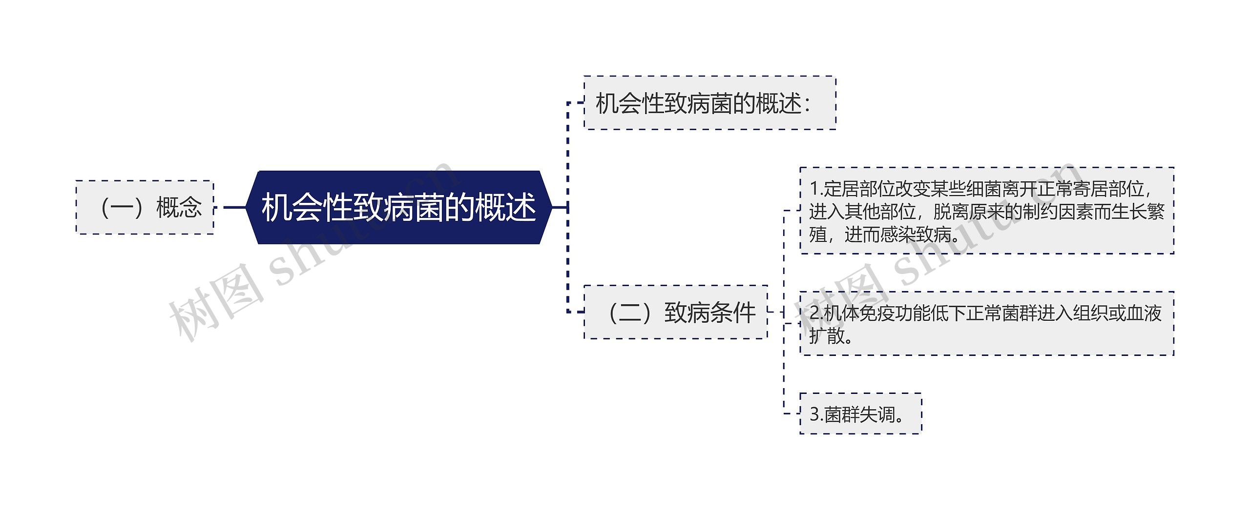 机会性致病菌的概述