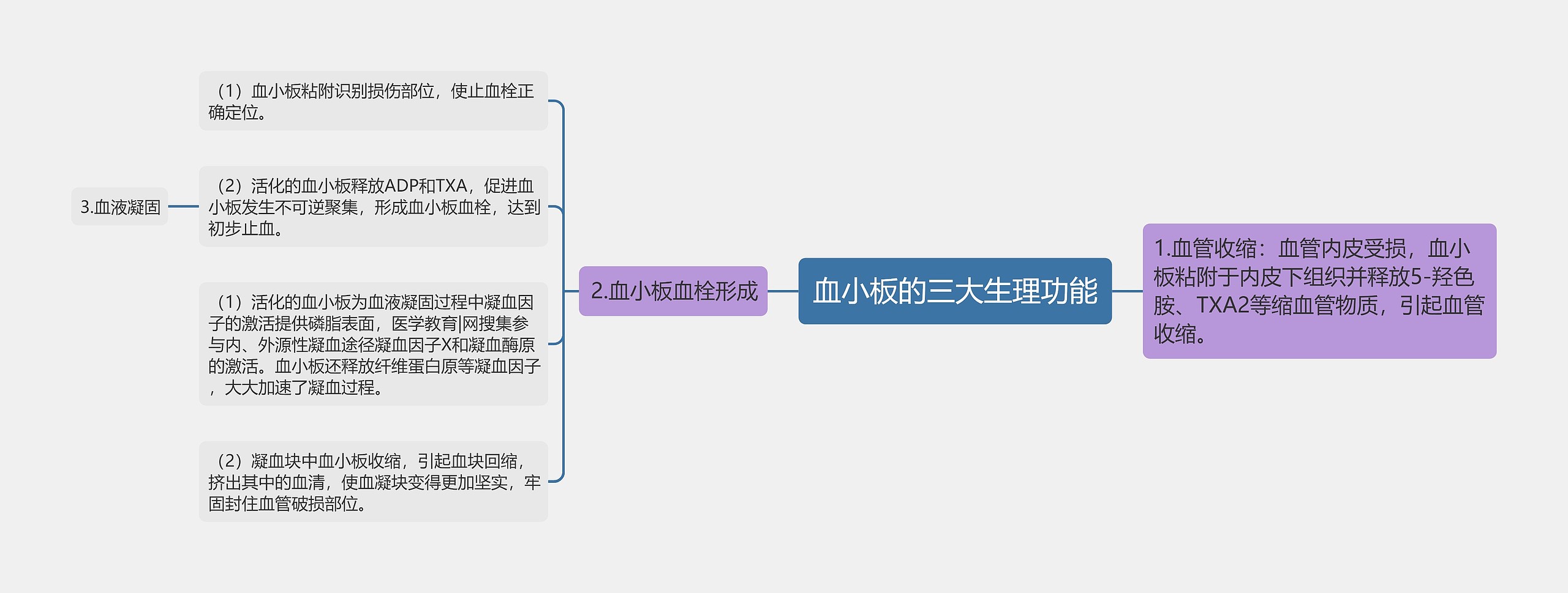 血小板的三大生理功能思维导图