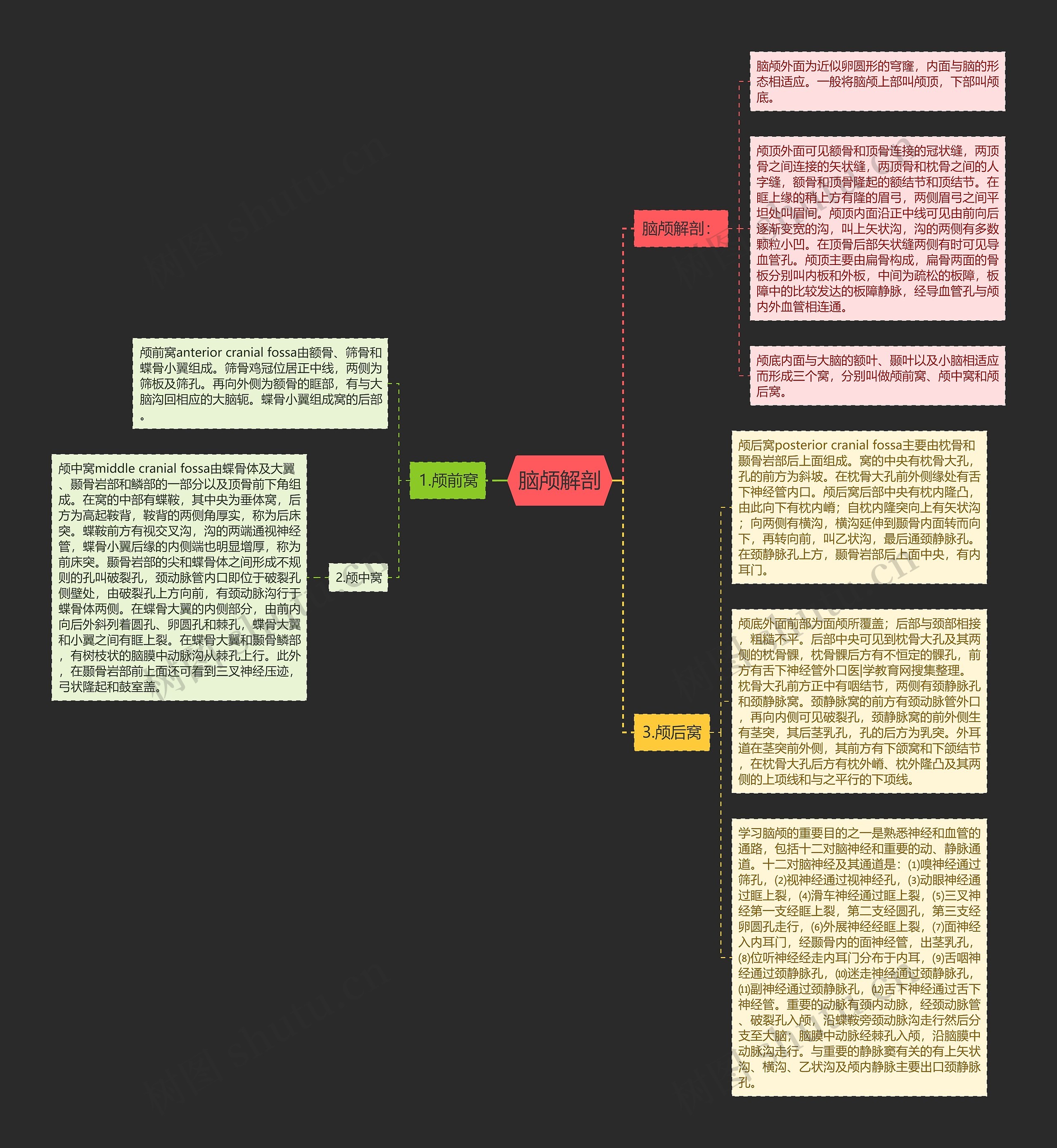 脑颅解剖思维导图