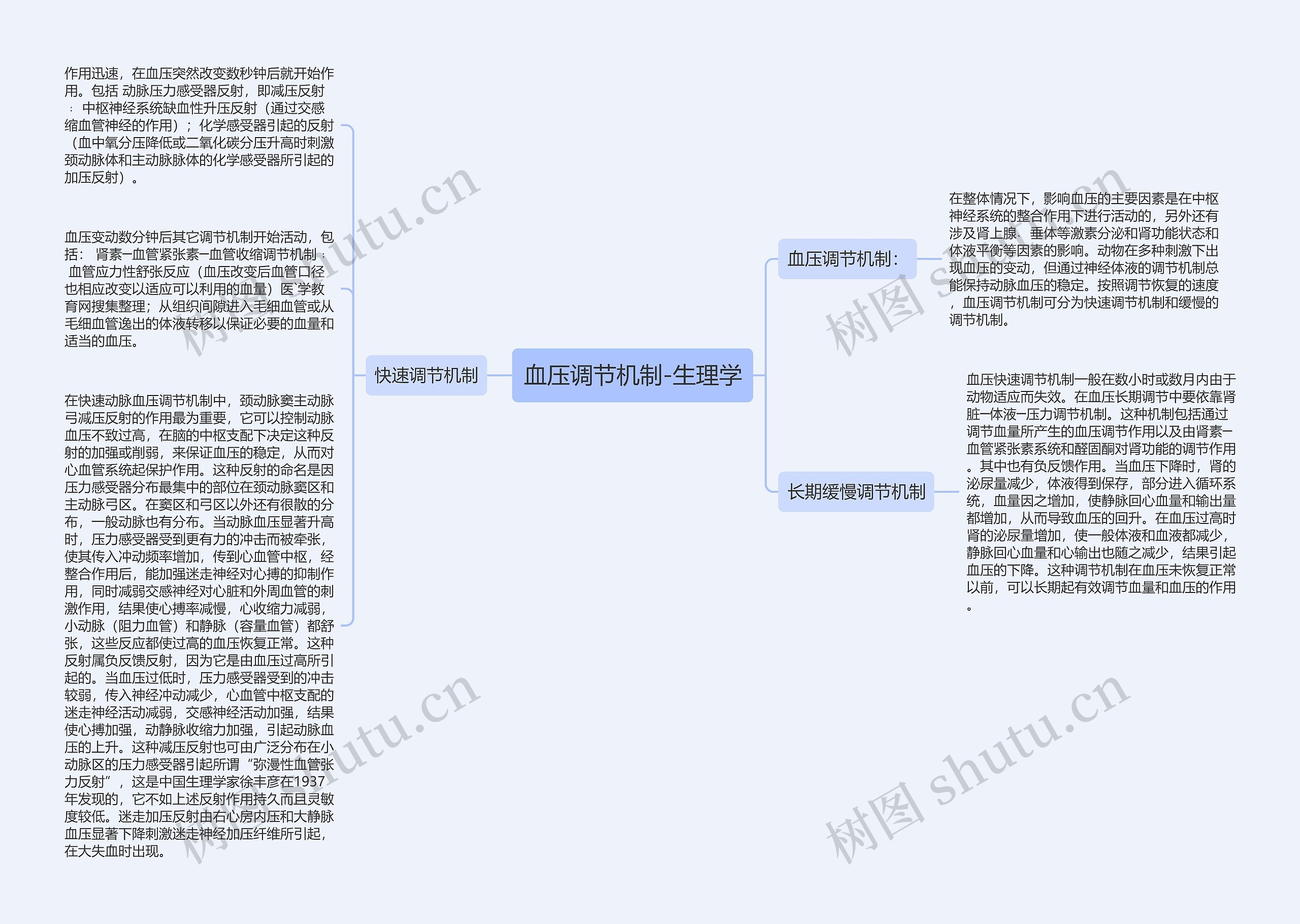 血压调节机制-生理学