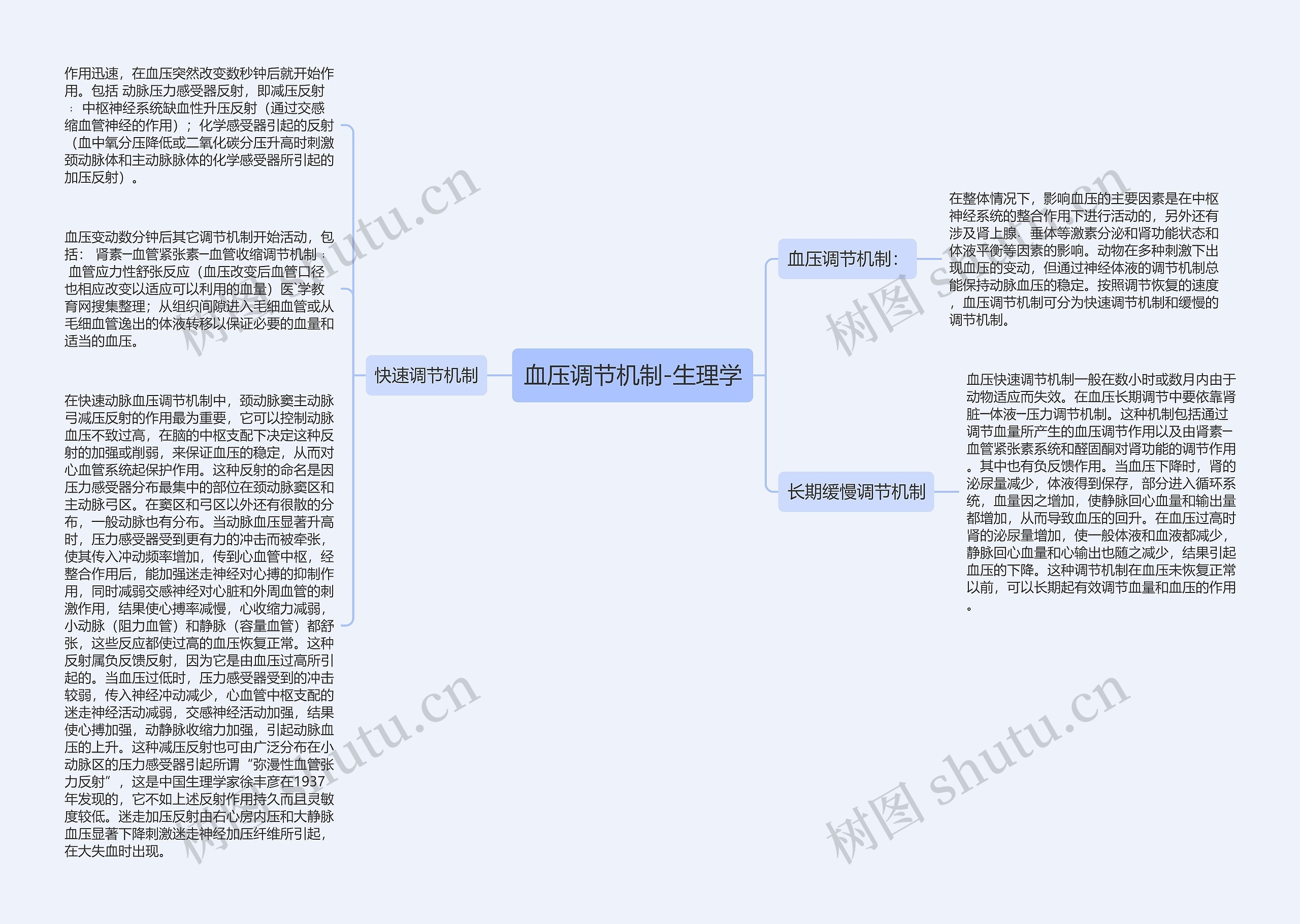 血压调节机制-生理学 血压调节机制-生理学