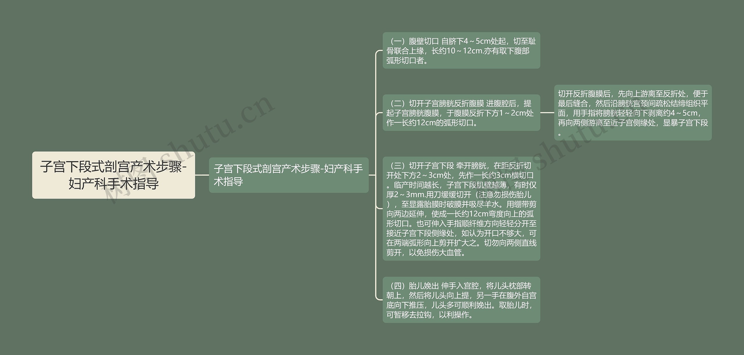 子宫下段式剖宫产术步骤-妇产科手术指导