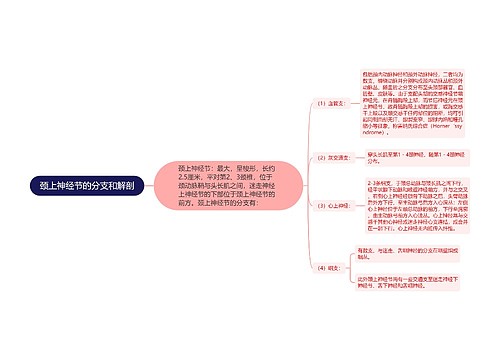 颈上神经节的分支和解剖