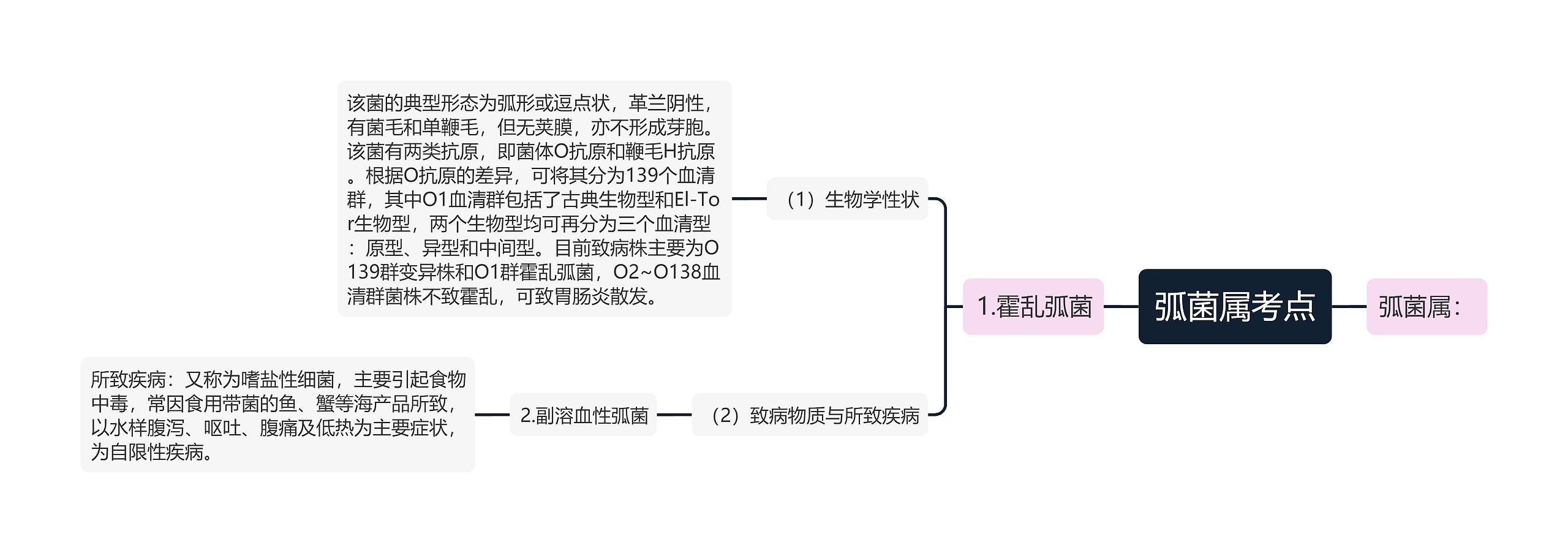 弧菌属考点