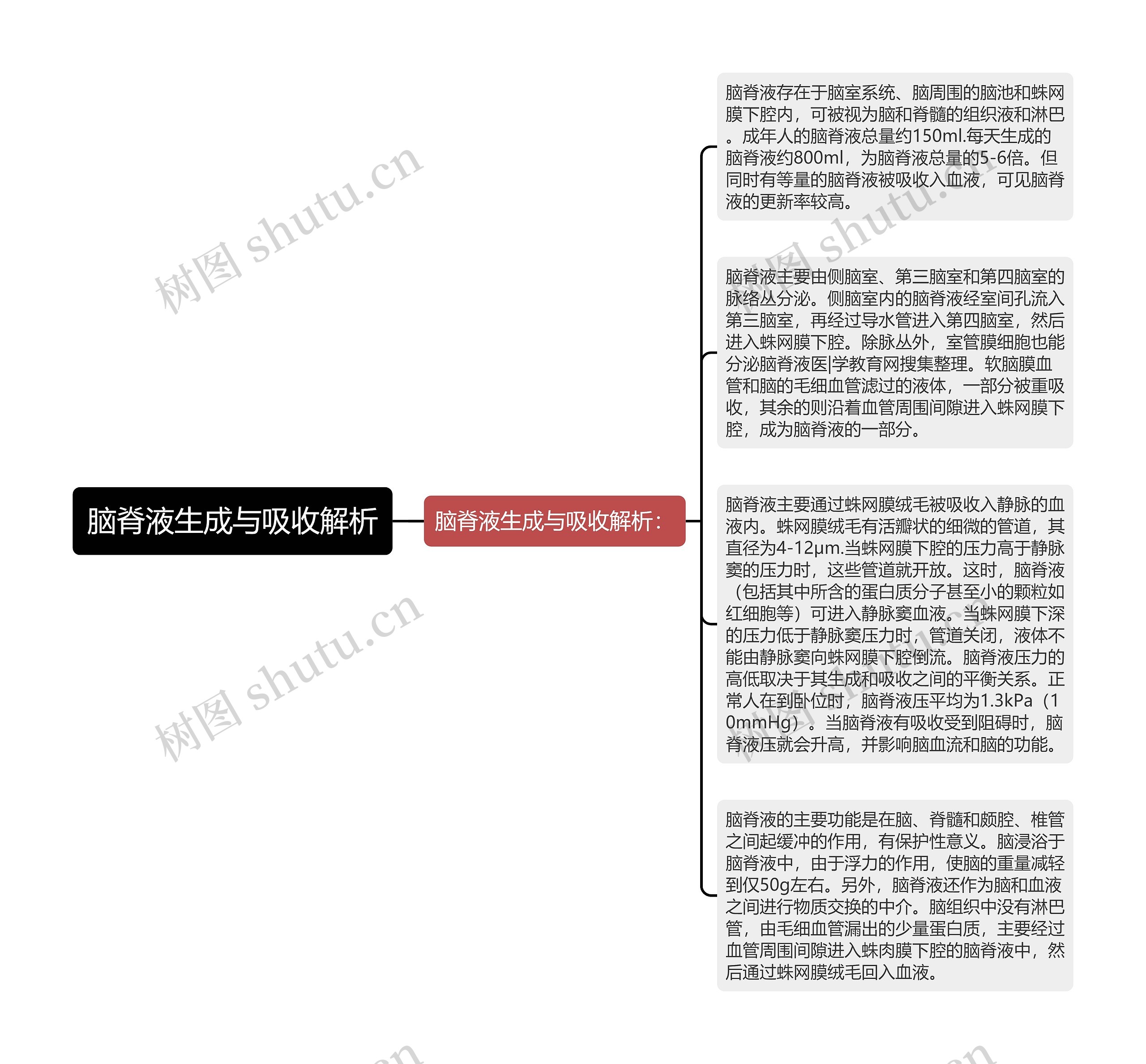 脑脊液生成与吸收解析