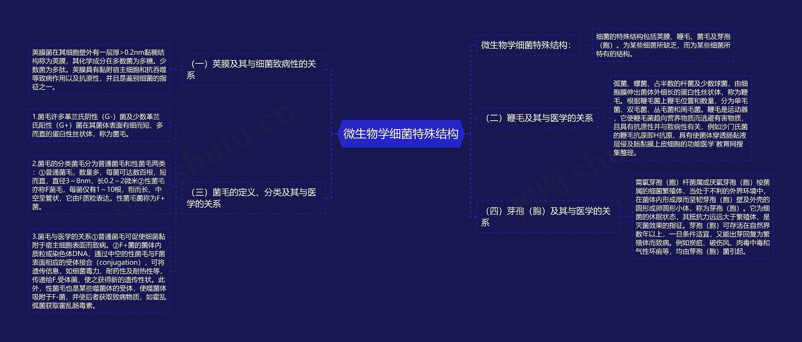 微生物学细菌特殊结构 微生物学细菌特殊结构
