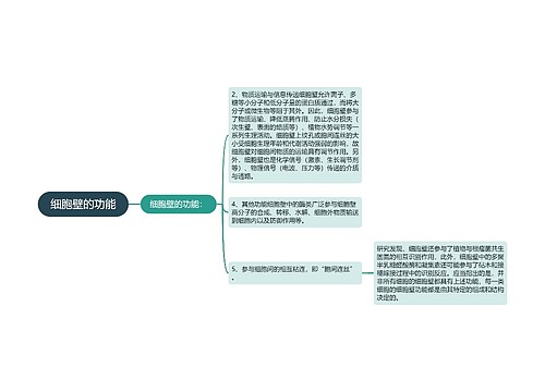 细胞壁的功能