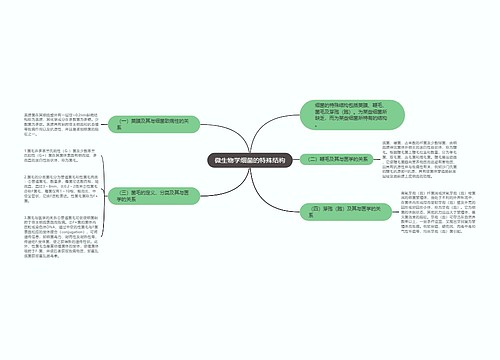 微生物学细菌的特殊结构