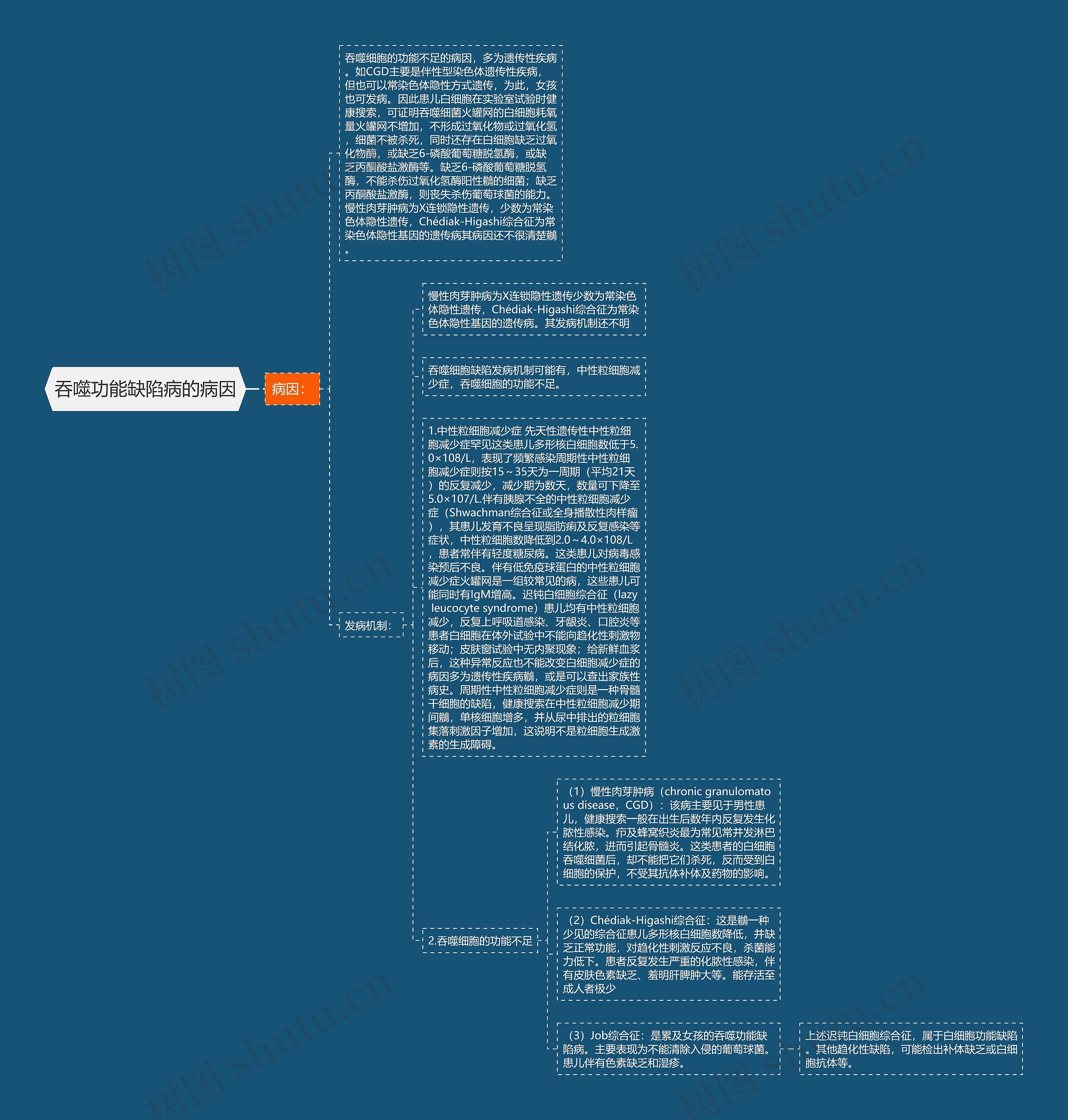 吞噬功能缺陷病的病因思维导图
