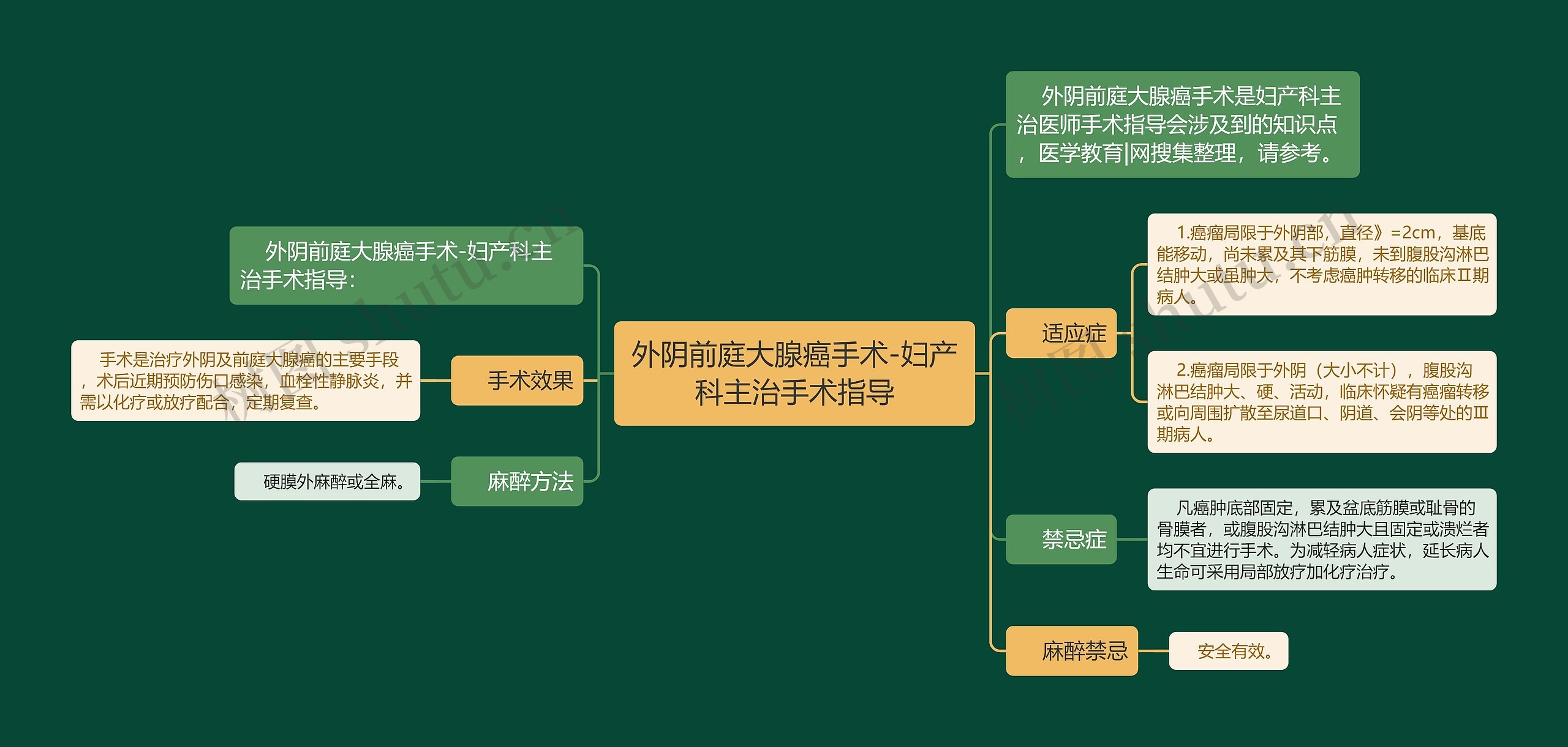 外阴前庭大腺癌手术-妇产科主治手术指导