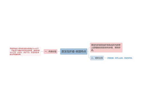 原发性肝癌-病理特点