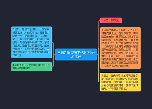 单纯外阴切除术-妇产科手术指导