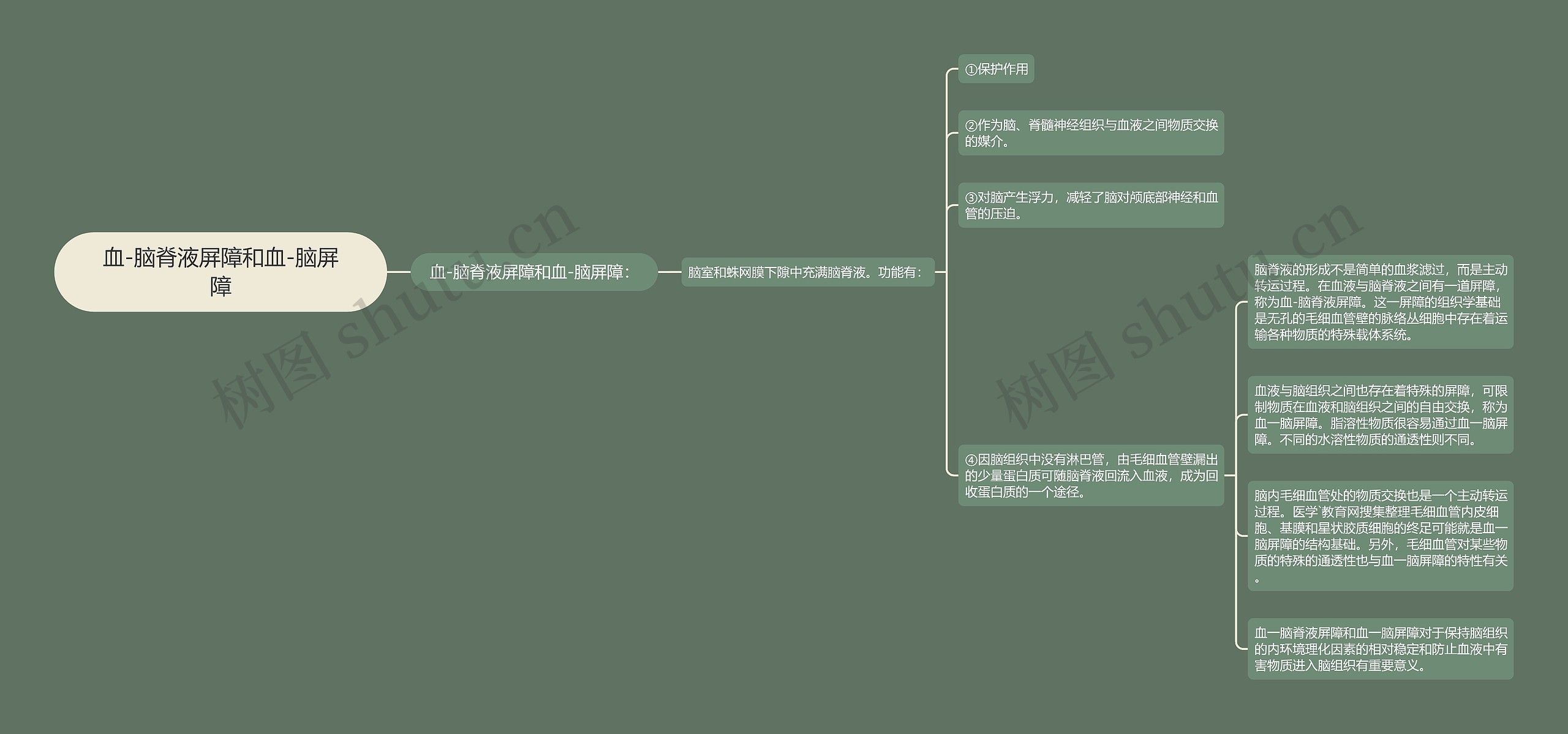 血-脑脊液屏障和血-脑屏障思维导图